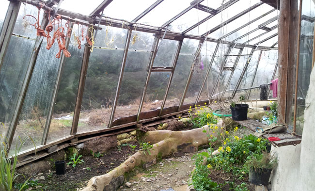 Lammas greenhouse